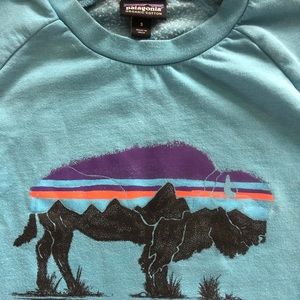 Patagonia organic cotton sweatshirt. Aqua - Small